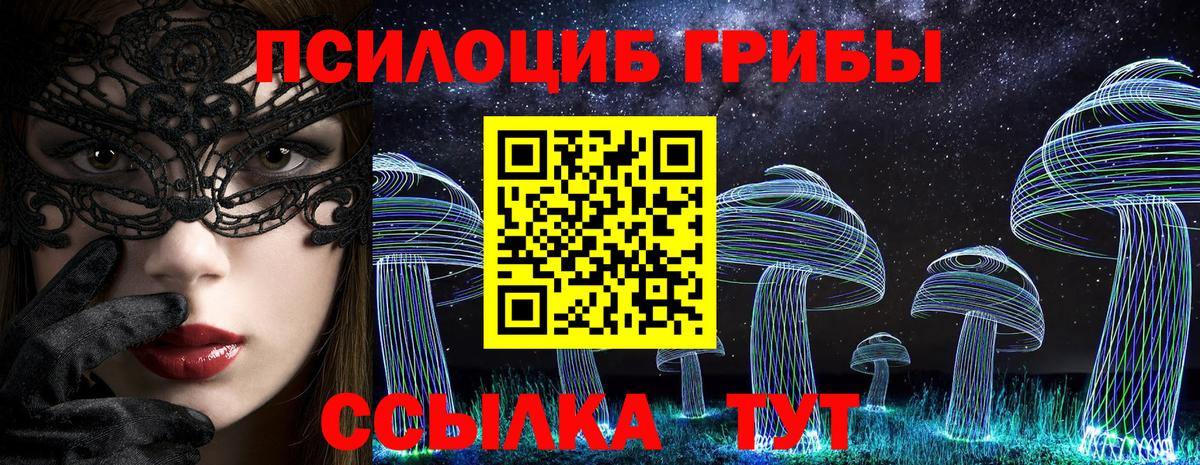 Ишимбай  Псилоцибиновые грибы Psilocybine cubensis  Вход с VPN 
