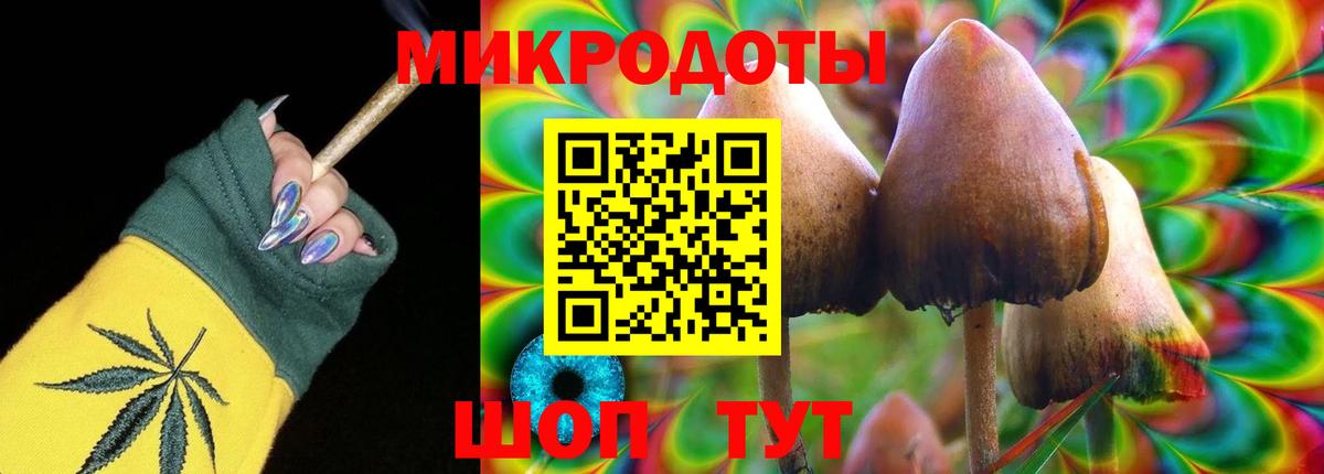 Псилоцибиновые грибы Cubensis Ишимбай